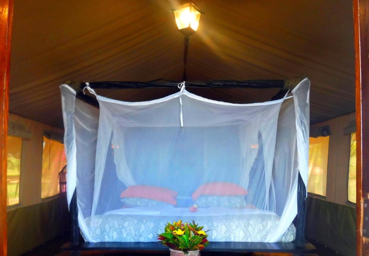 Shimba Hills Green Safari Lodge Kwale Esterno foto